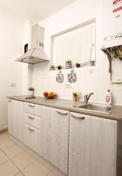 1 Bdrm Apartment In City Center Bucarest Extérieur photo